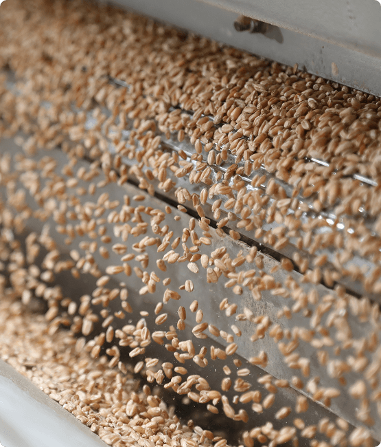 Agro Supply 1