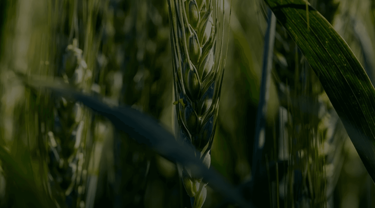 Agro Supply 1